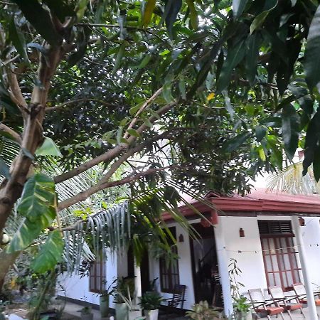 Eagle Homestay Tangalle Exterior photo