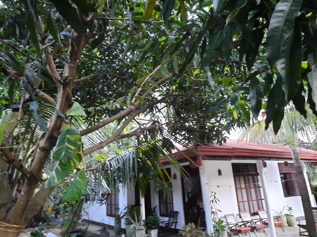 Eagle Homestay Tangalle Exterior photo