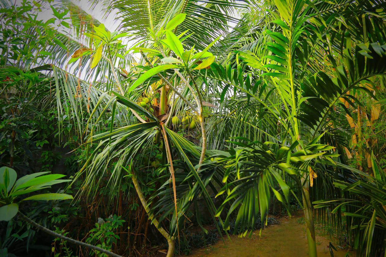 Eagle Homestay Tangalle Exterior photo