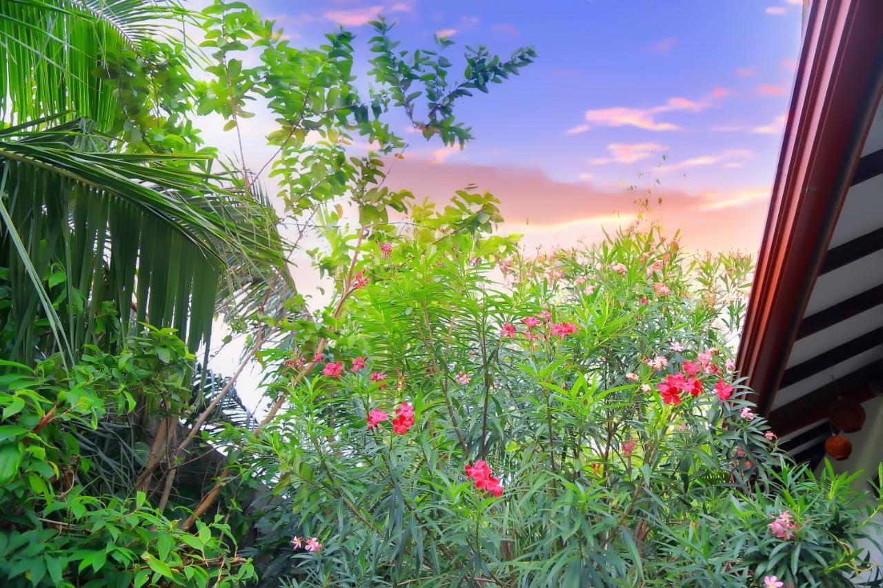 Eagle Homestay Tangalle Exterior photo