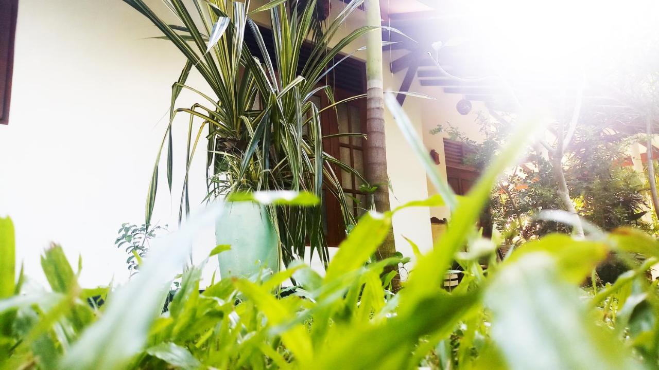Eagle Homestay Tangalle Exterior photo
