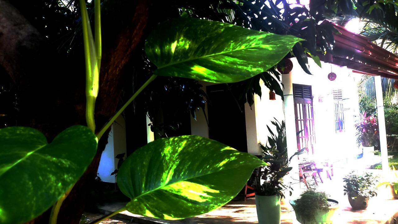 Eagle Homestay Tangalle Exterior photo