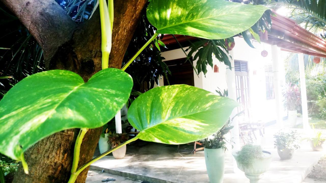Eagle Homestay Tangalle Exterior photo