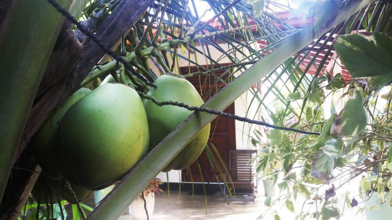 Eagle Homestay Tangalle Exterior photo
