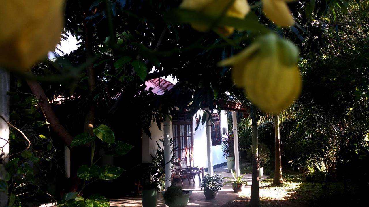 Eagle Homestay Tangalle Exterior photo