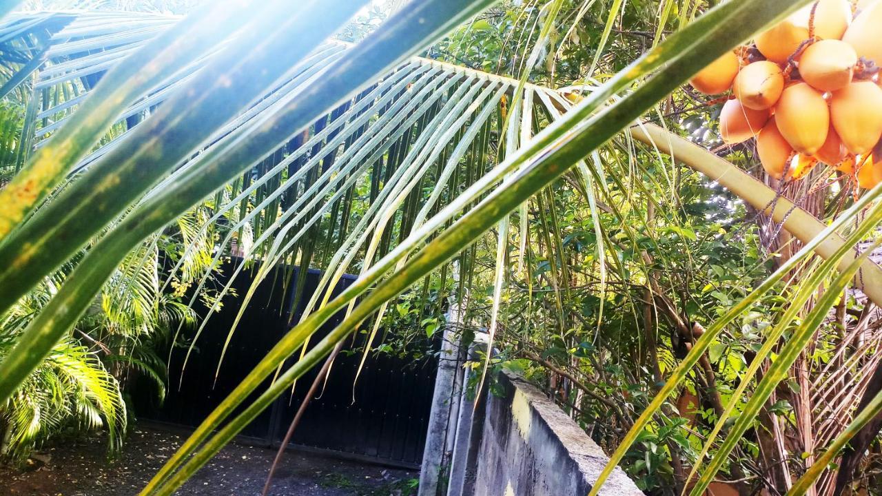 Eagle Homestay Tangalle Exterior photo
